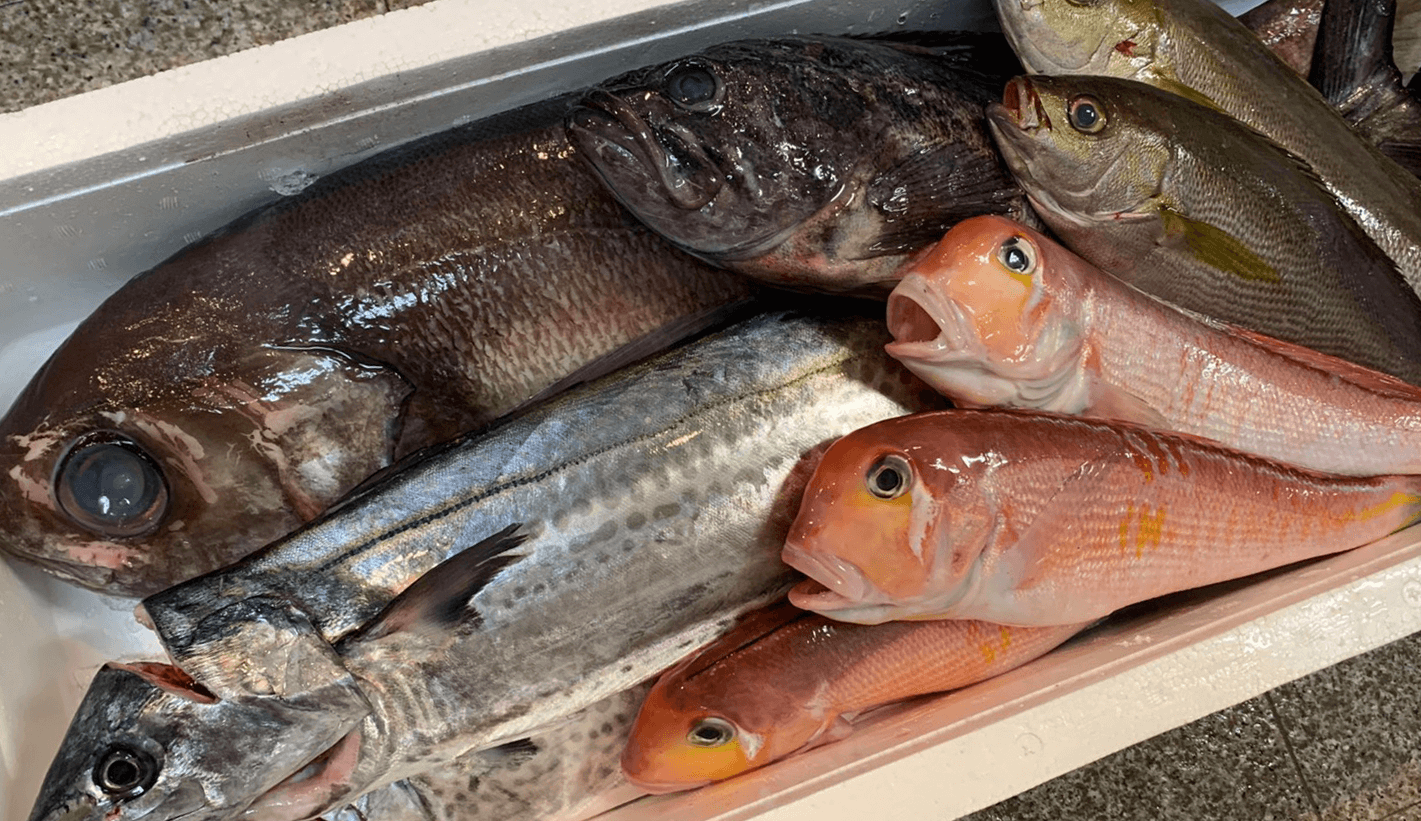 金田屋魚店スライド